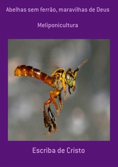 Cover ABELHAS SEM FERRÃO - MARAVILHA DE DEUS (eBook, ePUB)