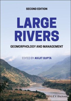 Cover Large Rivers (eBook, PDF)