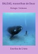 BALEIAS - MARAVILHAS DE DEUS (eBook,... - Bild 1