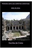 I CARTA AOS CORÍNTIOS COMENTADA (eBook, ePUB)
