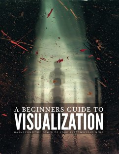 A Beginners Guide To Visualization (eBook, ePUB) - Silva, Tiago