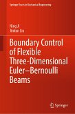 Boundary Control of Flexible Three-Dimensional Euler–Bernoulli Beams (eBook, PDF)