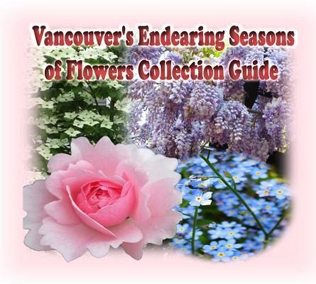Vancouver's Endearing Seasons of Flowers Collection Guide (eBook, ePUB) Vancouver's Endearing Seasons of Flowers Collection Guide (eBook, ePUB)