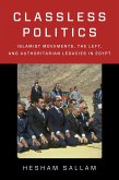 Classless Politics (eBook, ePUB)