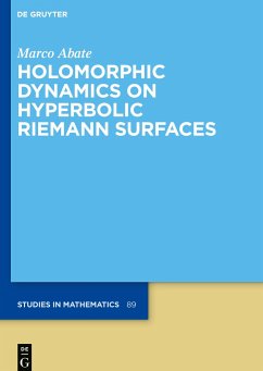 Holomorphic Dynamics on Hyperbolic Riemann Surfaces - Abate, Marco