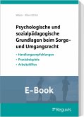 Psychologische und sozialpädagogische Grundlagen beim Sorge-und Umgangsrecht (E-Book) (eBook, PDF)