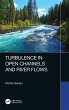 Turbulence in Open Channels and River... - Bild 1