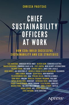 Chief Sustainability Officers At Work (eBook, PDF) - Pagitsas, Chrissa