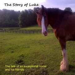 The Story of Luke - Craig, Priscilla