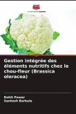 Gestion intégrée des éléments nutritifs chez le chou-fleur (Brassica oleracea)