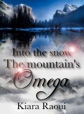 Into the snow (eBook, ePUB)