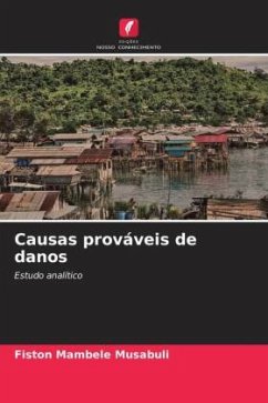 Causas prováveis de danos - Mambele Musabuli, Fiston