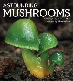 Astounding Mushrooms - Bellocq, Alain