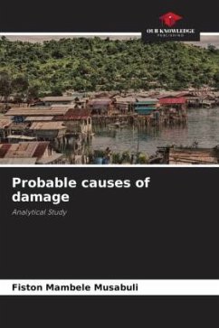 Probable causes of damage - Mambele Musabuli, Fiston