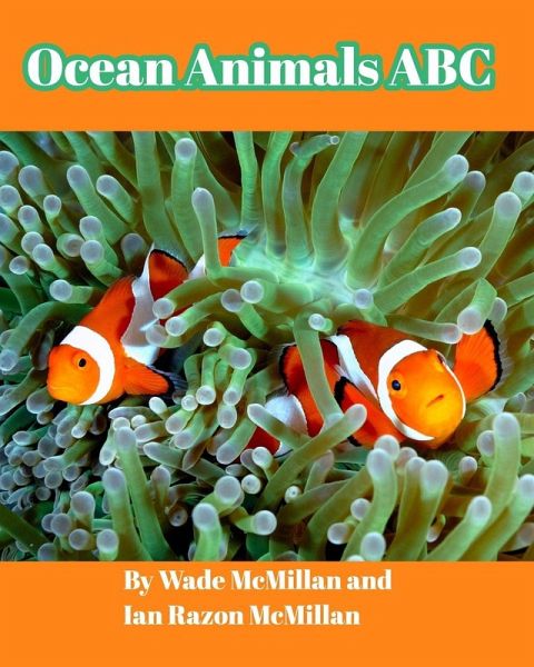 Ocean Animals ABC Ocean Animals ABC