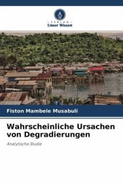 Wahrscheinliche Ursachen von Degradierungen - Mambele Musabuli, Fiston