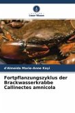 Fortpflanzungszyklus der Brackwasserkrabbe Callinectes amnicola