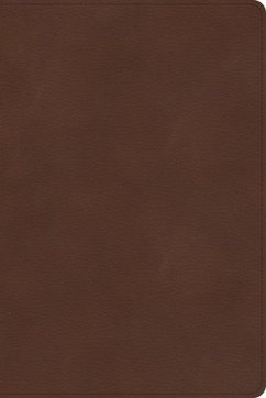 CSB Rainbow Study Bible, Brown Leathertouch - Csb Bibles By Holman