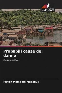 Probabili cause del danno - Mambele Musabuli, Fiston