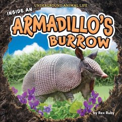 Inside an Armadillo's Burrow - Ruby, Rex