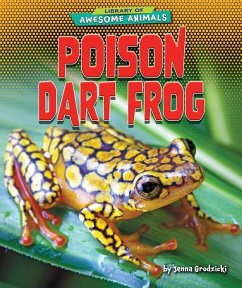 Poison Dart Frog - Grodzicki, Jenna