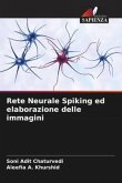 Rete Neurale Spiking ed elaborazione delle immagini