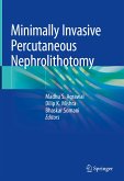 Minimally Invasive Percutaneous Nephrolithotomy (eBook, PDF)