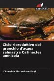 Ciclo riproduttivo del granchio d'acqua salmastra Callinectes amnicola