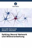 Spiking Neural Network und Bildverarbeitung