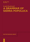A Grammar of Sierra Popoluca (eBook, PDF)