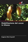 Riabilitazione del cacao in Ghana