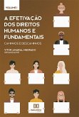 A efetivação dos Direitos Humanos e Fundamentais: caminhos e descaminhos (eBook, ePUB)