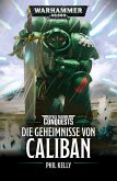 Die Geheimnisse von Caliban (eBook, ePUB)