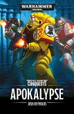 Apokalypse (eBook, ePUB)