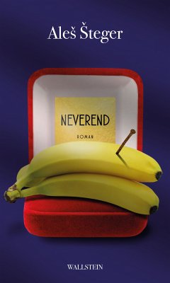 Neverend (eBook, PDF) - Šteger, Aleš