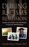 During Racism's Remission (eBook, ePUB)