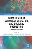 Human Rights in Colombian Literature and Cultural Production (eBook, PDF)