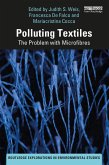 Polluting Textiles (eBook, ePUB)