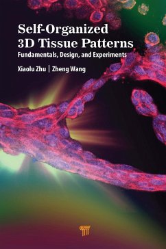 Self-Organized 3D Tissue Patterns (eBook, PDF) - Zhu, Xiaolu; Wang, Zheng