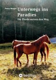 Unterwegs ins Paradies (eBook, ePUB)