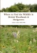Where to Find the Wildlife in British... - Bild 1