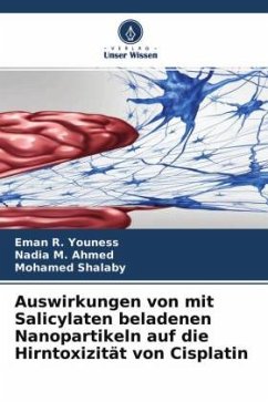 Auswirkungen von mit Salicylaten beladenen Nanopartikeln auf die Hirntoxizität von Cisplatin - Youness, Eman R.;Ahmed, Nadia M.;Shalaby, Mohamed