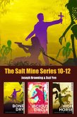 The Salt Mine Boxed Set 10-12 (eBook, ePUB)