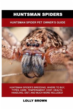 Huntsman Spiders - Brown, Lolly