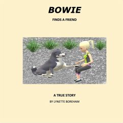 BOWIE FINDS A FRIEND (eBook, ePUB) - Boreham, Lynette