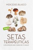 Setas terapéuticas (eBook, ePUB)