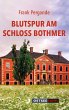 Blutspur am Schloss Bothmer - Bild 1