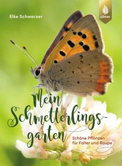 Mein Schmetterlingsgarten - Schwarzer, Elke