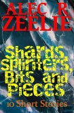 Shards, Splinters, Bits and Pieces (eBook, ePUB)