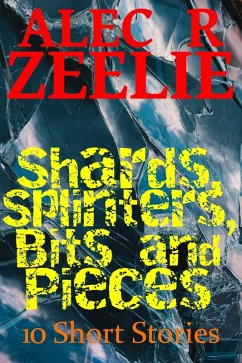 Shards, Splinters, Bits and Pieces (eBook, ePUB) - Zeelie, Alec R.